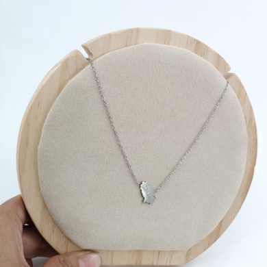 COLLAR Acero Letra IBIZA ZO8510N A44