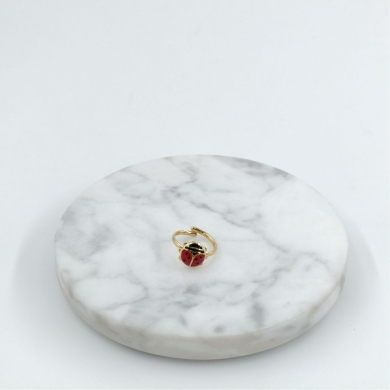 ANILLO INFANTIL Acero ZO6876R120 /A27