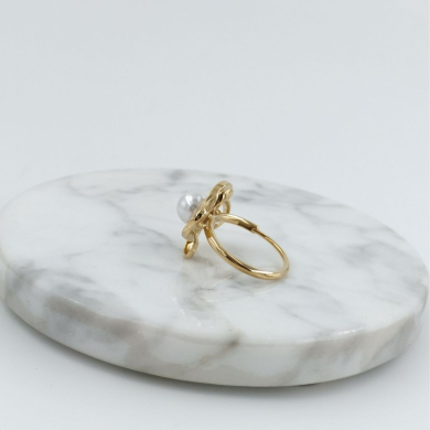 ANILLO Acero ZO10666R300 /2A41