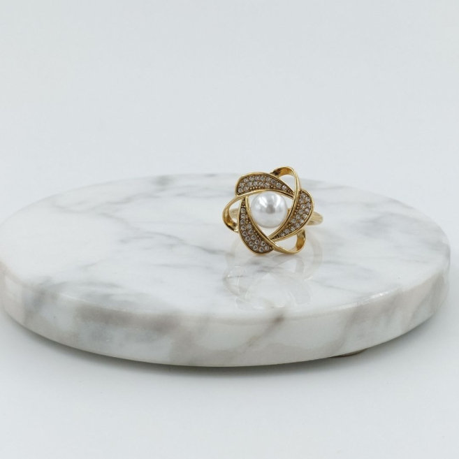 ANILLO Acero ZO10666R300 /2A41
