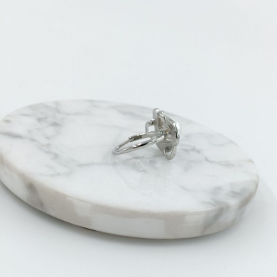 ANILLO Acero ZO10666R300 /2A41