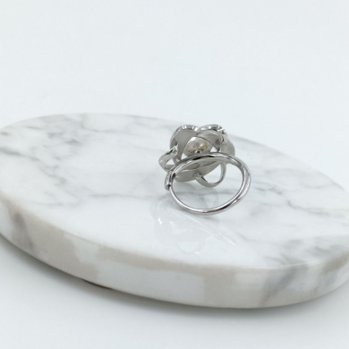 ANILLO Acero ZO10666R300 /2A41