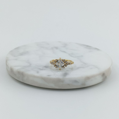 ANILLO Acero ZO10633R250 /A22