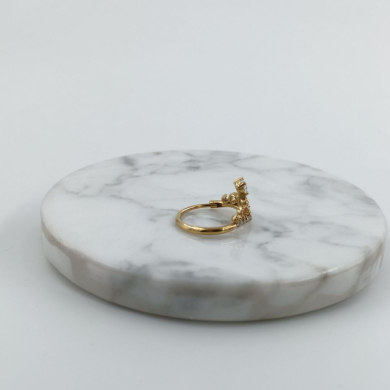 ANILLO Acero ZO10597R250 /A22