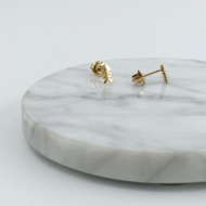 ARETES ZO4554E Dorado Acero Inoxidable G12