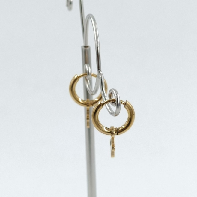 ARETES Acero ZO10895E/6MM/120 A68