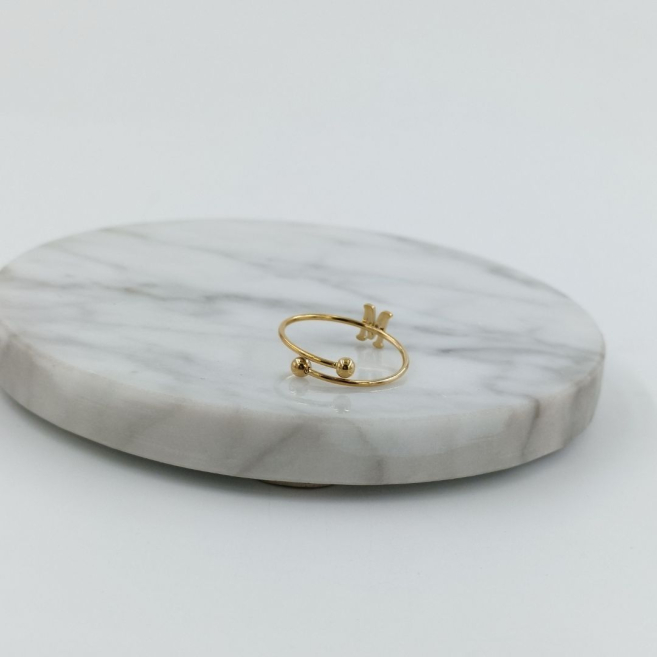 ANILLO COCN INICIAL M Acero ZO899R100 /2A17 -2A29