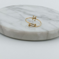 ANILLO COCN INICIAL N Acero ZO899R100 2A19 -2A29