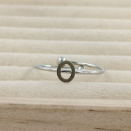 ANILLO COCN INICIAL O Acero ZO899R100 2A19 -2A29