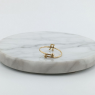 ANILLO COCN INICIAL R Acero ZO899R100 /2A17 -2A210