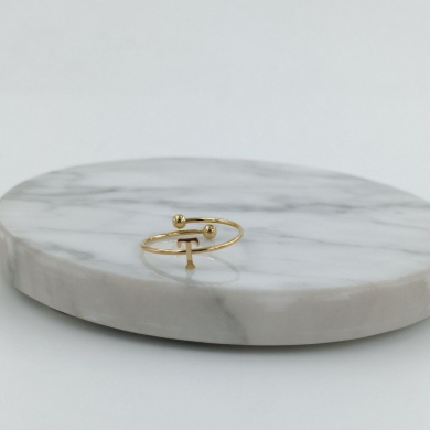 ANILLO COCN INICIAL T Acero ZO899R100 /2A17 -2A210