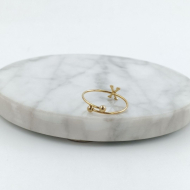 ANILLO COCN INICIAL X Acero ZO899R100 /2A17 -2A210