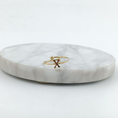 ANILLO COCN INICIAL X Acero ZO899R100 /2A17 -2A210