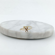 ANILLO COCN INICIAL X Acero ZO899R100 /2A17 -2A210