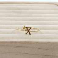 ANILLO COCN INICIAL X Acero ZO899R100 /2A17 -2A210