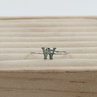 ANILLO COCN INICIAL W Acero ZO899R100 /2A17 -2A210