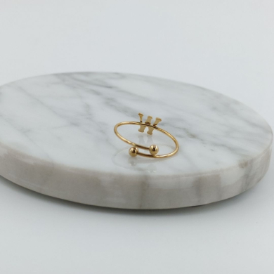 ANILLO COCN INICIAL W Acero ZO899R100 /2A17 -2A210