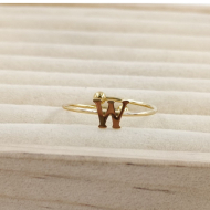 ANILLO COCN INICIAL W Acero ZO899R100 /2A17 -2A210