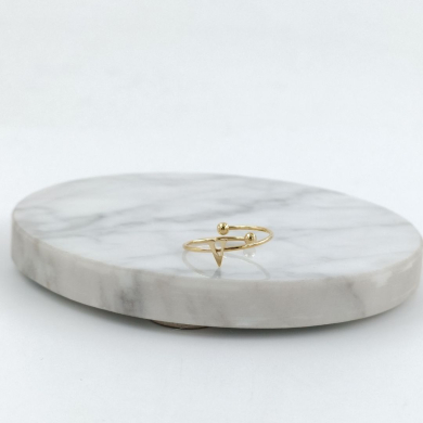 ANILLO COCN INICIAL V Acero ZO899R100 /2A17 -2A210