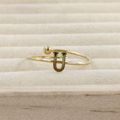 ANILLO COCN INICIAL U Acero ZO899R100 2A19 -2A210