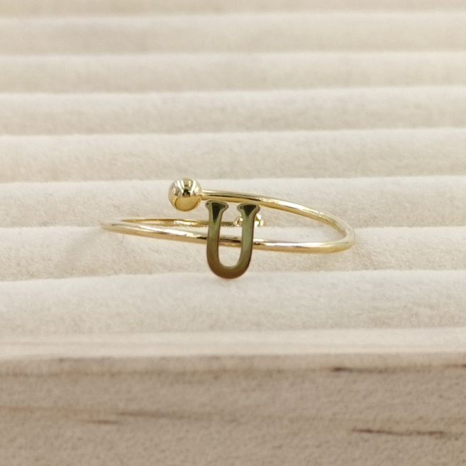 ANILLO COCN INICIAL U Acero ZO899R100 2A19 -2A210