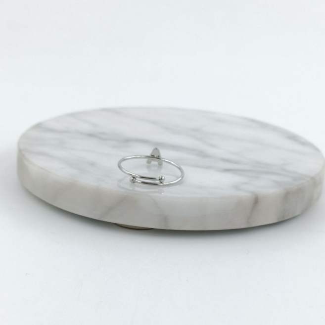 ANILLO COCN INICIAL A Acero ZO8979R150 /2A56 -2A16