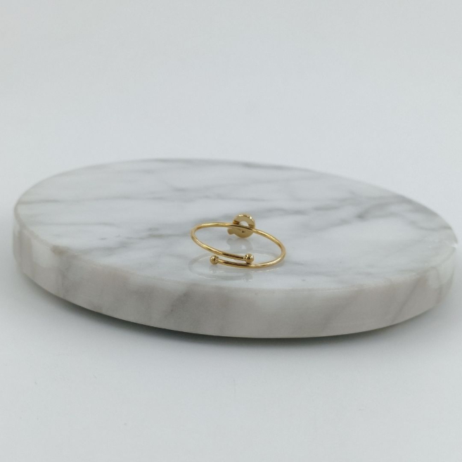 ANILLO COCN INICIAL Q Acero ZO8979R150 /2A18