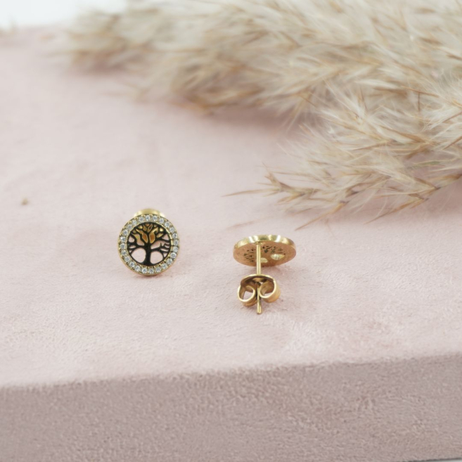 ARETES ACERO ZO11491E /G31