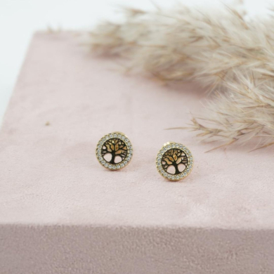 ARETES ACERO ZO11491E /G31