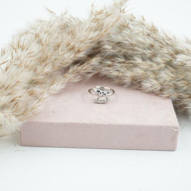 ANILLO ACERO ZO11899R 2A132