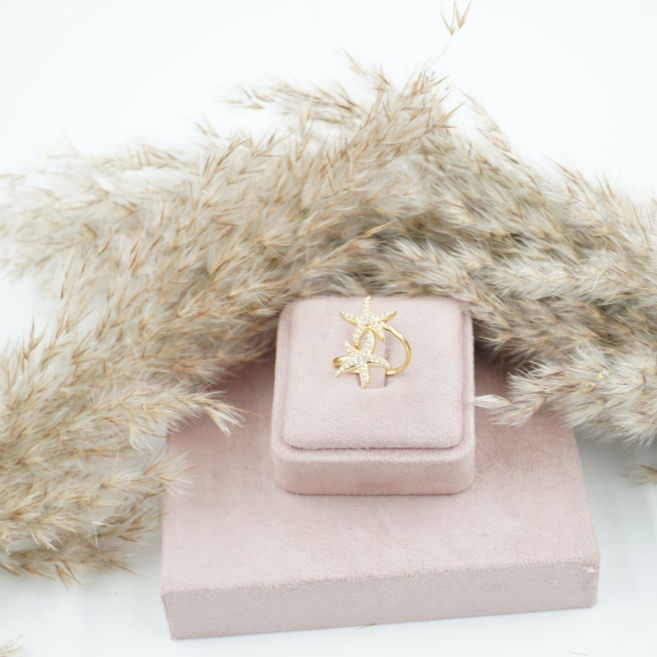 ANILLO ACERO ZO11738R /A33