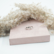 ANILLO Acero ZO10449R250 2B33