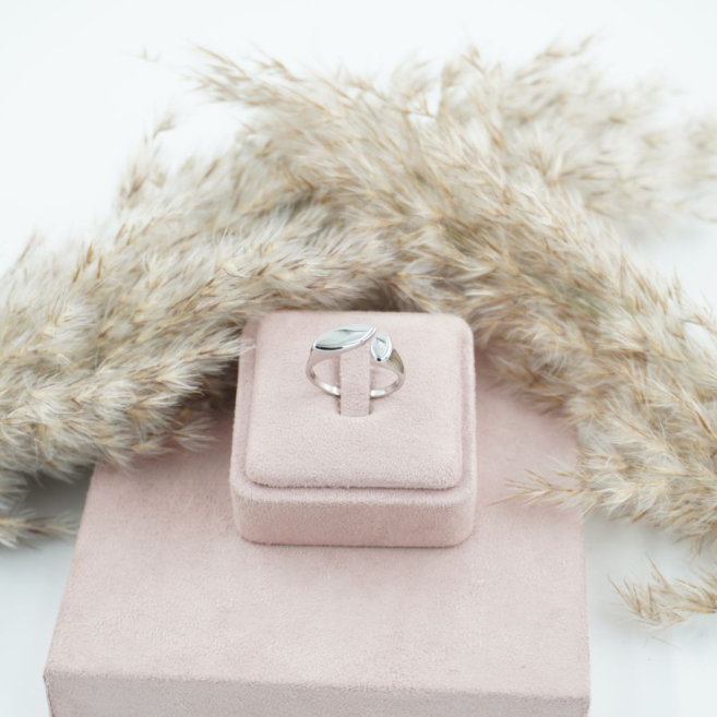 ANILLO Acero ZO10449R250 2B33