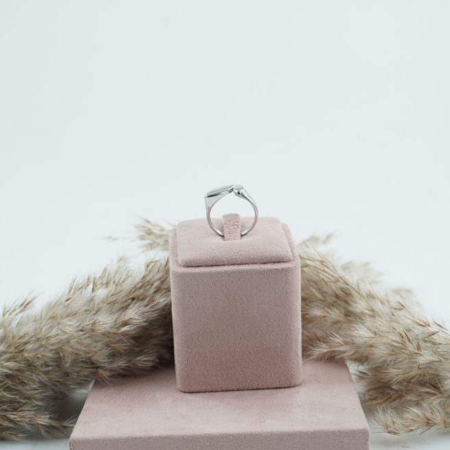 ANILLO Acero ZO10449R250 2B33