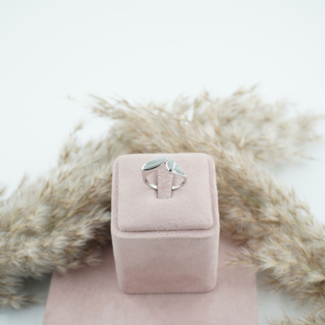 ANILLO Acero ZO10449R250 2B33