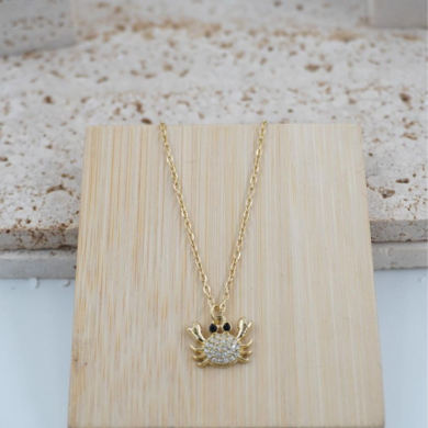 COLLAR ACERO ZO11996N200 /D21-C