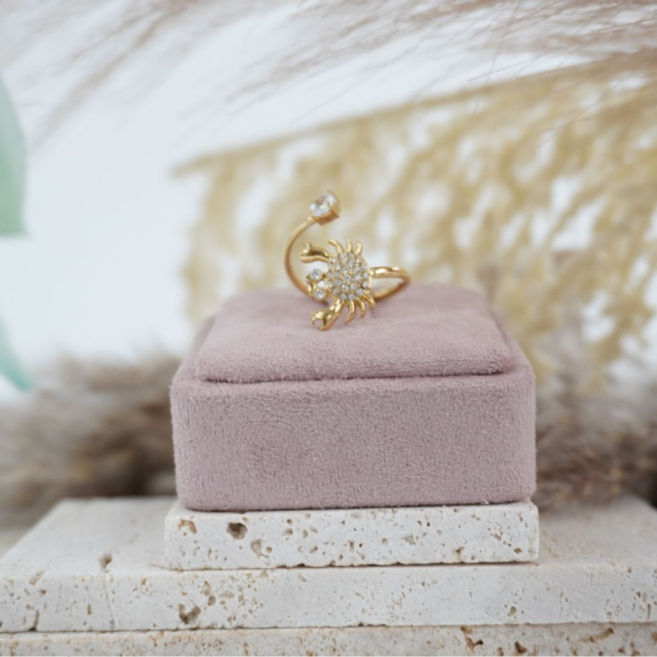 ANILLO ZO11733R ACERO /A33