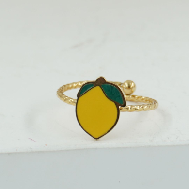 ANILLO ZO12249R150 Acero Inoxidable /2A11