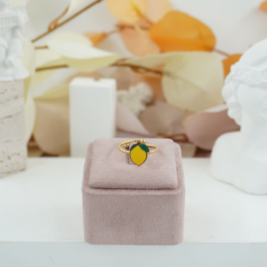 ANILLO ZO12249R150 Acero Inoxidable /2A11