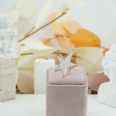 ANILLO ZO12259R250 Acero Inoxidable 2D32