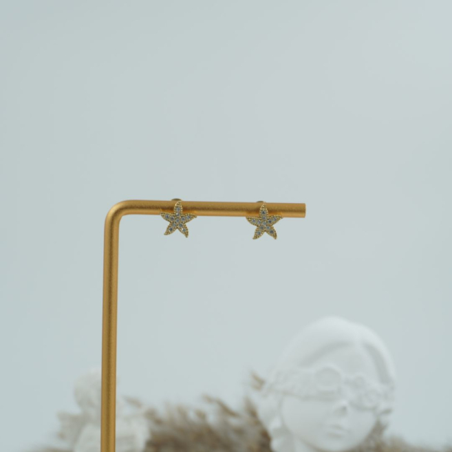 ARETES ZO11615E ACERO /G31