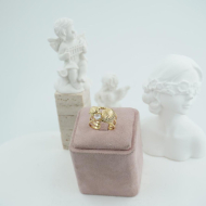 ANILLO ACERO ZO11744R /A41