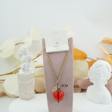 COLLAR ZO12366N300 Acero Inoxidable /E21