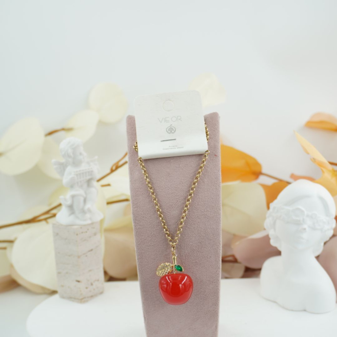 COLLAR ZO12366N300 Acero Inoxidable /E21