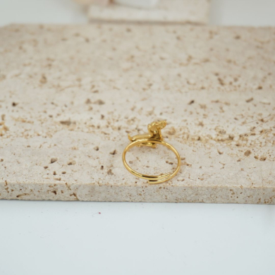 ANILLO ZO12560R Acero Inoxidable /A12