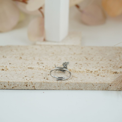 ANILLO ZO12560R Acero Inoxidable 2A27