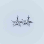 ARETES Y00011 Acero Inoxidable G54