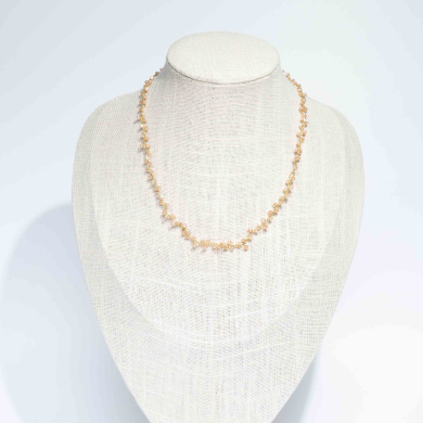 COLLAR Y00078 Camel Acero Inoxidable 2D35 1 1 2D34