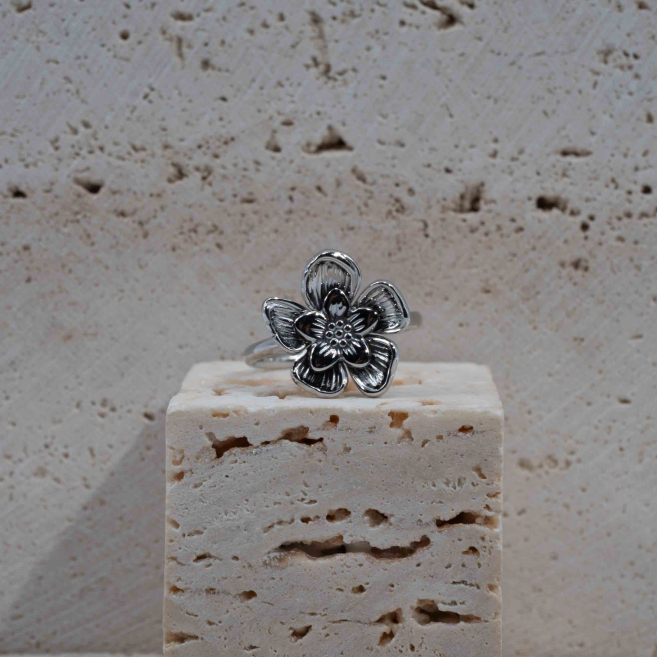 ANILLO Y00058 Acero Inoxidable 2A33