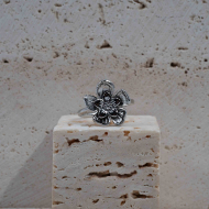 ANILLO Y00058 Acero Inoxidable 2A33